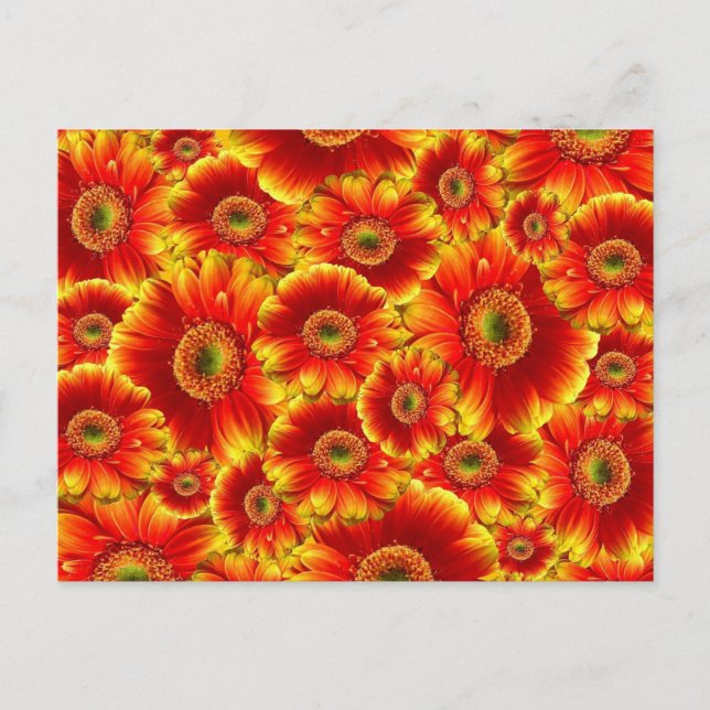 Carte Postale Fleurs Orange Clair (Devant)