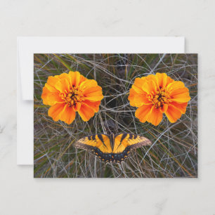 Carte Postale Fleurs orange et papillon jaune