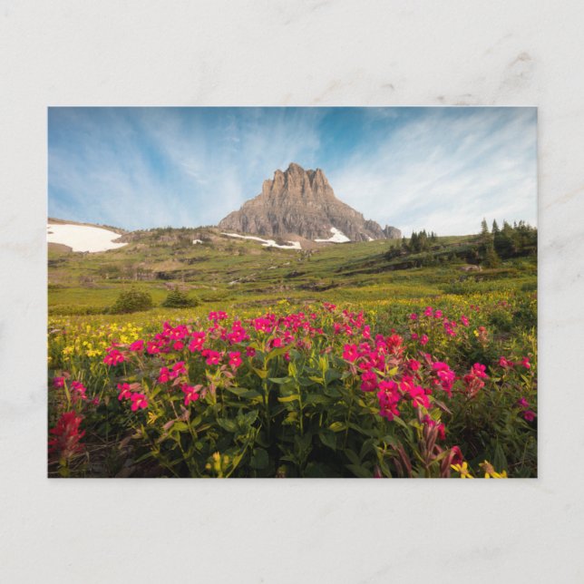 Carte Postale Fleurs | Parc national des Glaciers du Montana (Devant)