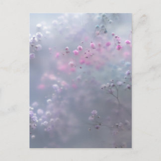 Carte Postale Fleurs pastel douces dans un flou rêveur