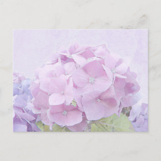 Carte Postale Fleurs Pastel Hydrangea