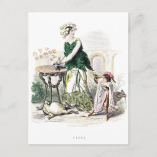 Carte Postale Fleurs personnifiées