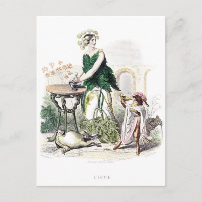 Carte Postale Fleurs personnifiées (Devant)