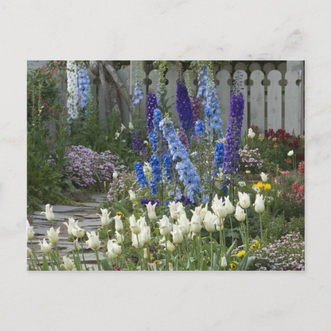 Carte Postale Fleurs printanières le long d'un chemin de jardin, (Devant)