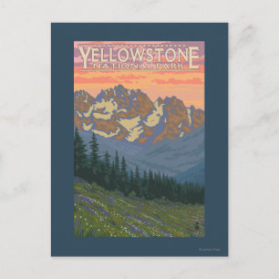 Carte Postale Fleurs printanières - Parc national de Yellowstone