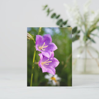 Carte Postale Fleurs romantiques – Fantaisie botanique bohème