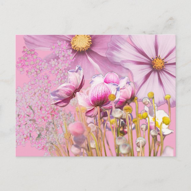 Carte postale fleurs rose (Devant)
