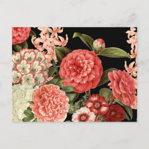 Carte Postale fleurs roses botaniques vintage modernes