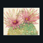 Carte Postale Fleurs roses de cactus<br><div class="desc">Cactus Pink Blossoms Artiste : Tim OToole</div>