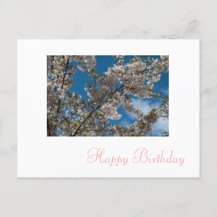 Carte Postale fleurs roses de cerisier en fleurs joyeux annivers