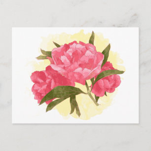 Carte Postale Fleurs roses de pivoine florale aquarelle vintage