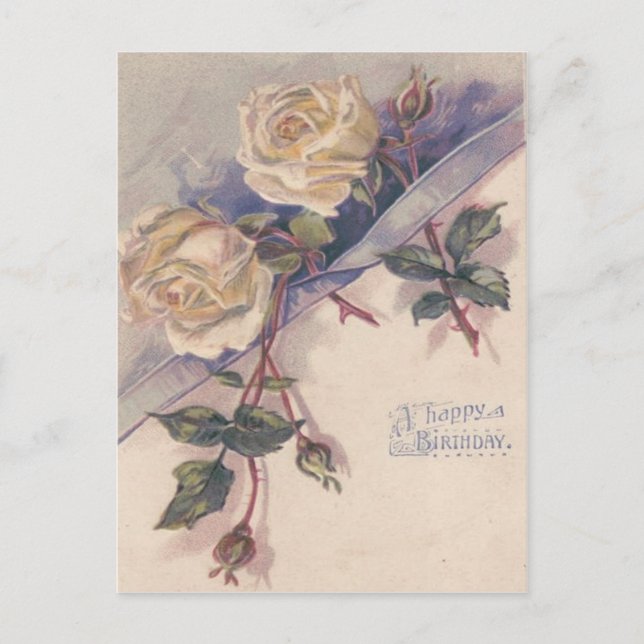 Carte Postale Fleurs Roses de Rose blanche (Devant)