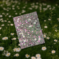 Fleurs roses et marguerites sauvages en champ natu