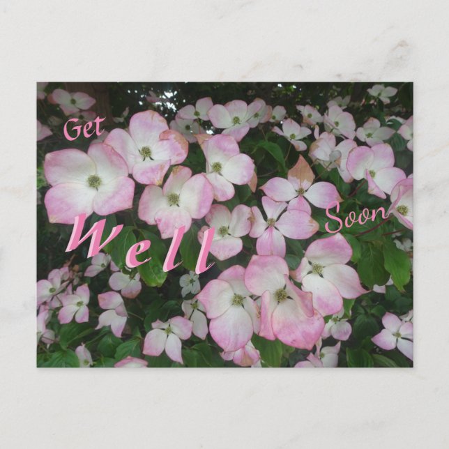 Carte postale fleurs roses pour un prompt rétablis (Devant)