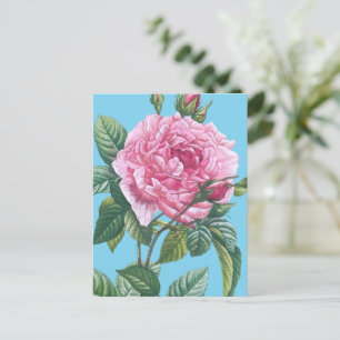 Carte Postale Fleurs roses roses avec Feuilles verts