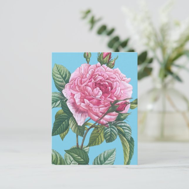 Carte Postale Fleurs roses roses avec Feuilles verts (Debout devant)