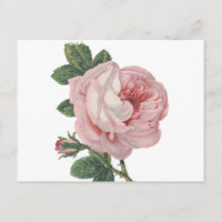 Fleurs roses vintages - Amour, Mlle Vous, Bonjour