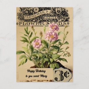 Carte Postale Fleurs roses vintages Trois cents Anniversaire