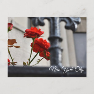 Carte Postale Fleurs rouges Fer forgé Photographie de New York