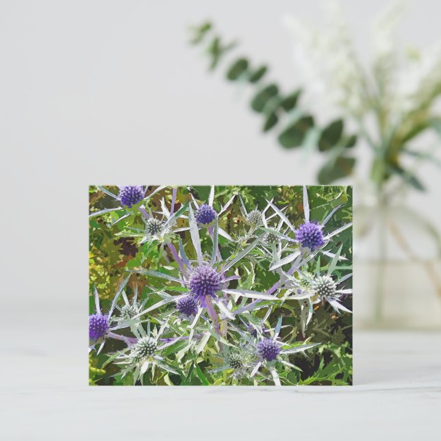 CARTE POSTALE FLEURS SAUVAGES (Debout devant)