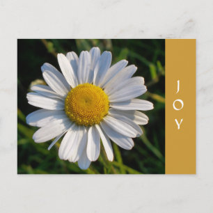 CARTE POSTALE FLEURS SAUVAGES