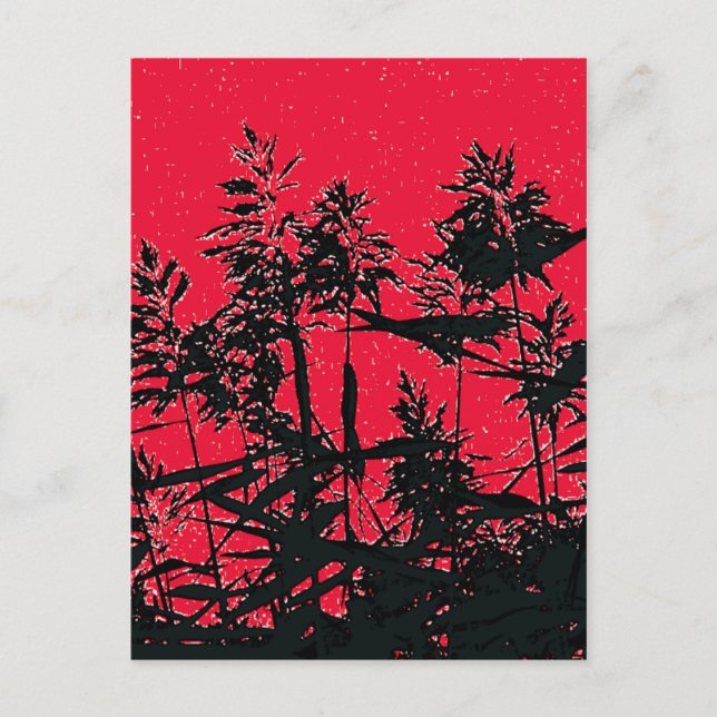 CARTE POSTALE FLEURS SAUVAGES (Devant)