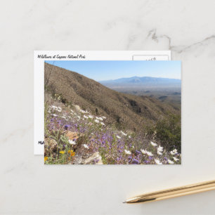 Carte Postale Fleurs sauvages au Parc national de Saguaro I