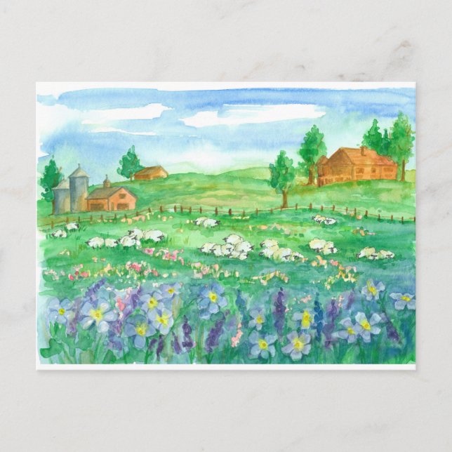 Carte Postale Fleurs sauvages de la ferme des moutons Nous avons (Devant)