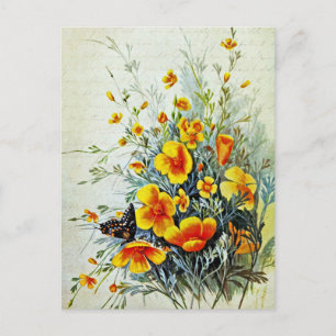 Carte Postale Fleurs sauvages de pavot de Californie vintage