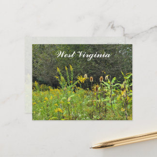 Carte Postale Fleurs sauvages de Virginie-Occidentale