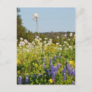 Carte Postale Fleurs sauvages et moulin à vent dans Texas Hill C