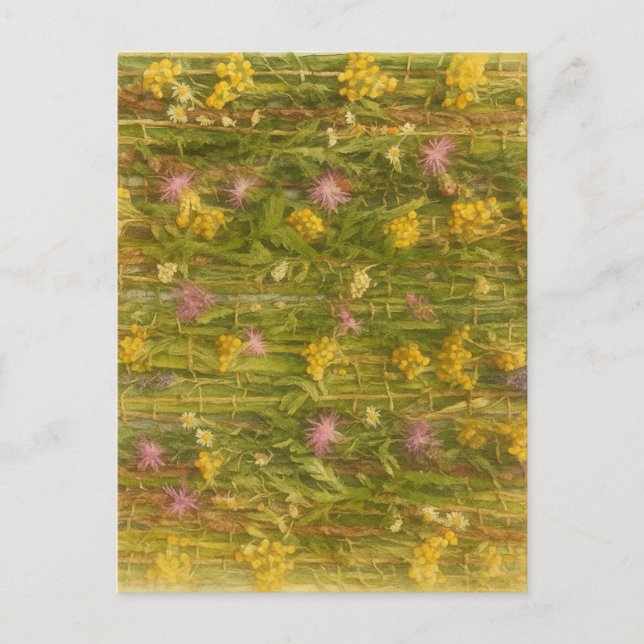 Carte Postale Fleurs sauvages lettons - Nature préservée (Devant)