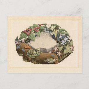 Carte Postale Fleurs sauvages par Grant Wood