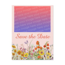 Fleurs sauvages vives  