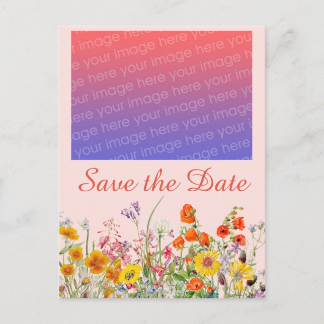 Carte Postale Fleurs sauvages vives   (Devant)