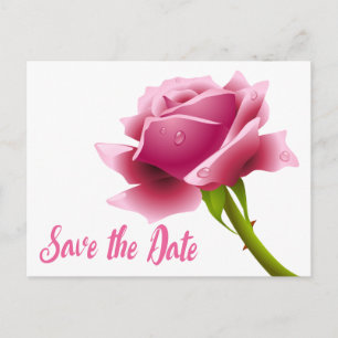 Carte Postale Fleurs Save The Date Rose Fleur Rose Engagement