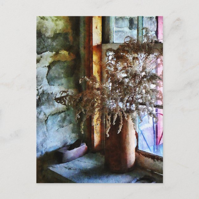 Carte Postale Fleurs séchées sur le rebord de fenêtre (Devant)