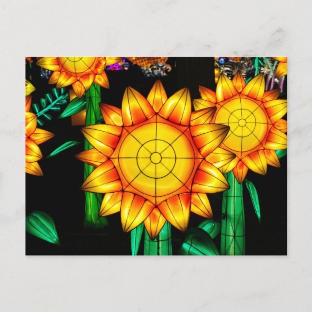 Carte Postale Fleurs solaires (Devant)
