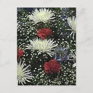 Carte Postale Fleurs - Starburst Vero Beach 2010 Le MUSÉE Zaz
