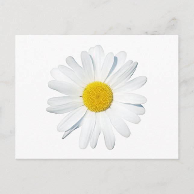 Carte Postale Fleurs | Taille unique (Devant)