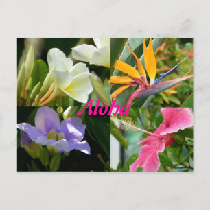 Carte Postale Fleurs tropicales de Kauai Hawaii