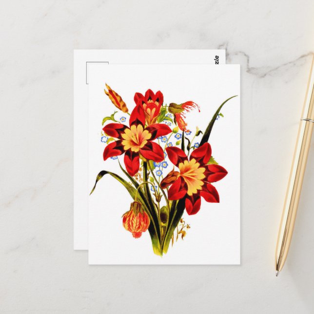 Carte Postale Fleurs Vintage (Devant/Arrière en situation)