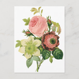 Carte Postale Fleurs Vintage, Anémones Roses Clematites par Redo