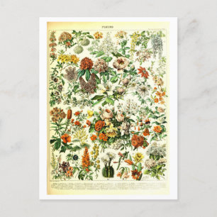 Carte postale Fleurs vintages