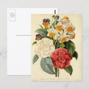 Carte Postale Fleurs vintages, Camellias et Narcisse, Redoute