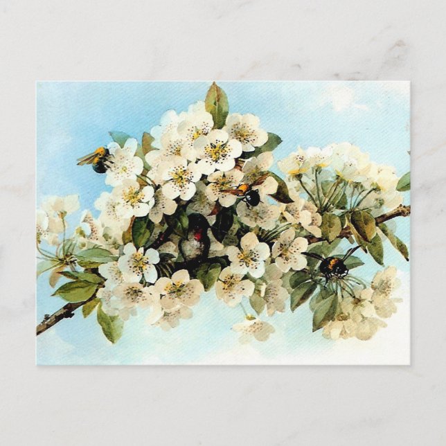 Carte Postale Fleurs vintages d'Apple (Devant)
