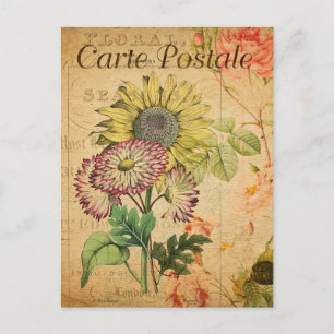 Carte Postale Fleurs vintages de tournesol Floral Français