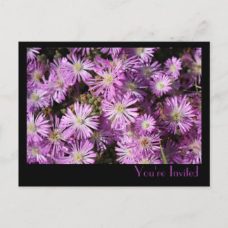 Carte postale Fleurs violettes