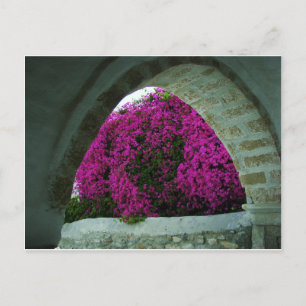 Carte Postale Fleurs violettes à travers une arche.