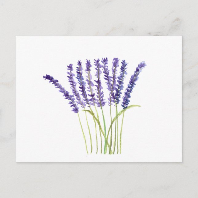 Carte Postale Fleurs violettes aquarelle lavande rustique (Devant)